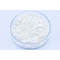 Tellurium Dioxide Powder | TeO2
