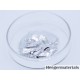 Liquid Metal Thermal Paste(GaInSnZnAg)