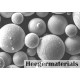 PM2000 (ODS Steel) Spherical Powder