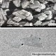 MXene Phase Powder-43 Series