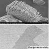 MXene Phase Powder-Bimetallic Series