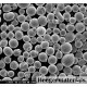 AM247LC Nickel-Based Alloy Spherical Powder