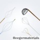 Nitinol Biliary-Stone Retrieval Basket