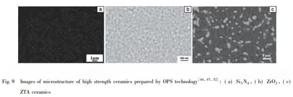 Image of microstructure of high strength ceramics prepared by OPS technology