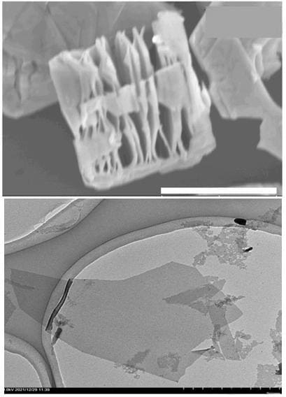 Nb4C3Tx MXene Powder SEM