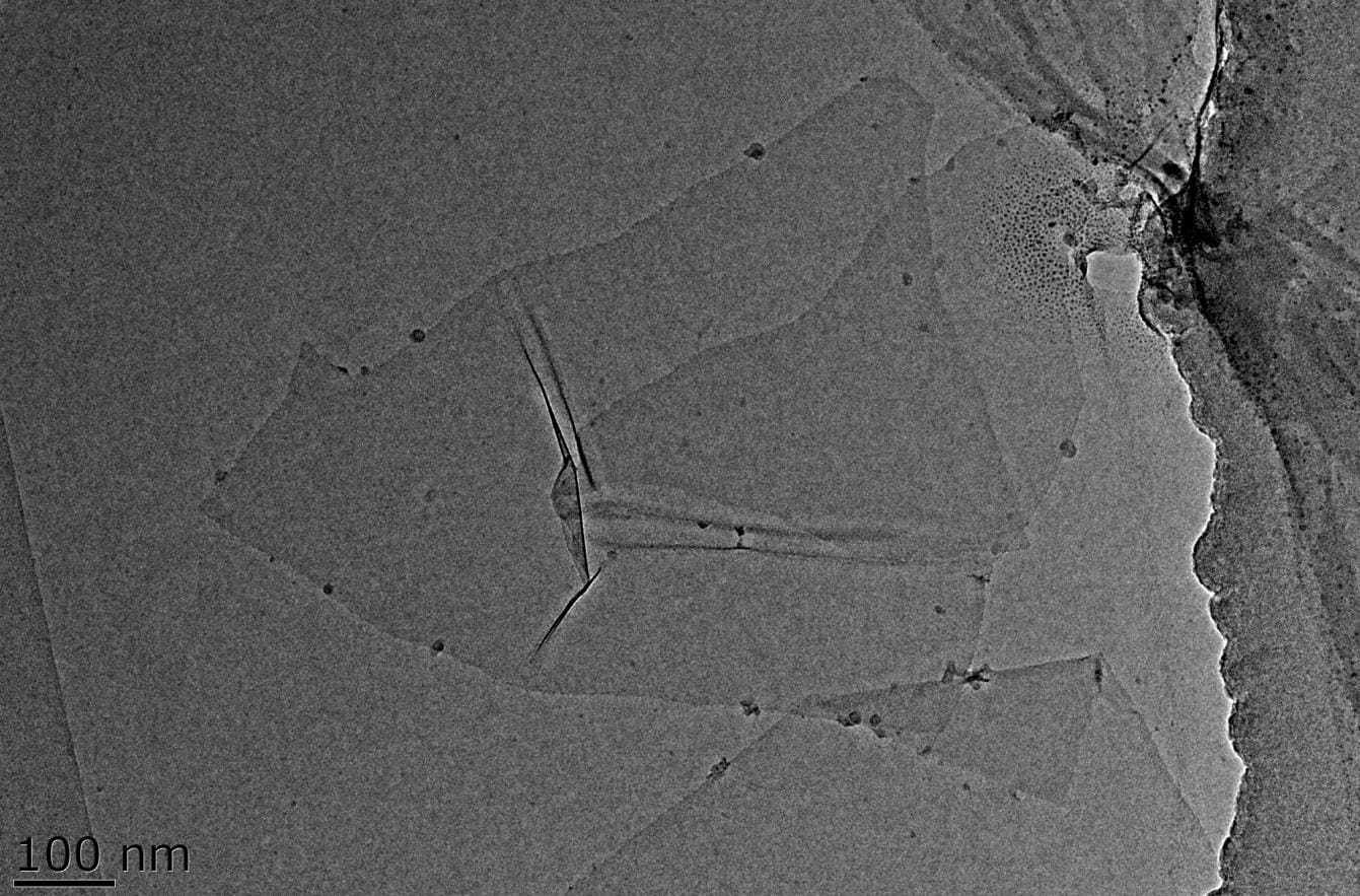 Single-Layer Nb2CTx Powder SEM
