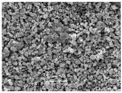 Niobium Carbide (NbC) Powder SEM