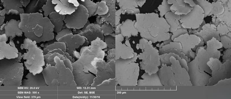 Flaky Soft Magnetic Powder for EMI Shielding SEM