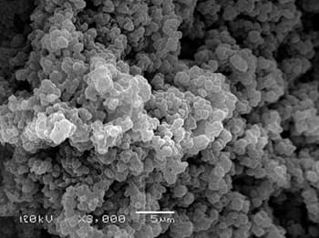 Tantalum Oxide (Ta2O5) Powder SEM