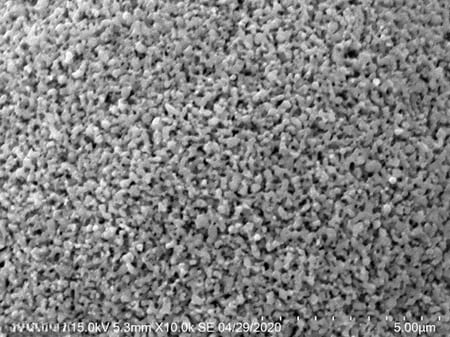 High-purity Ultrafine Nano Molybdenum Carbide (Mo2C) Powder SEM