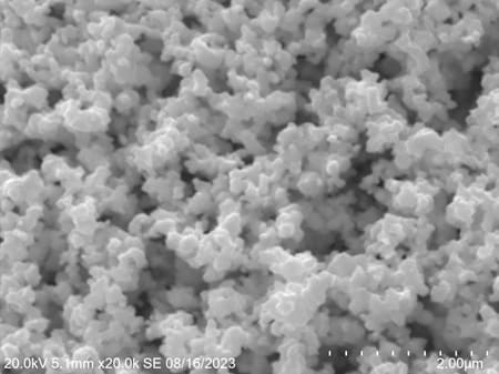 High-purity Ultrafine Nano Tantalum Carbide (TaC) Powder SEM