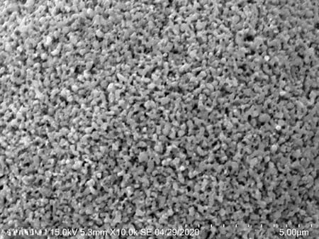 High-purity Ultrafine Nano Zirconium Carbide (ZrC) Powder SEM