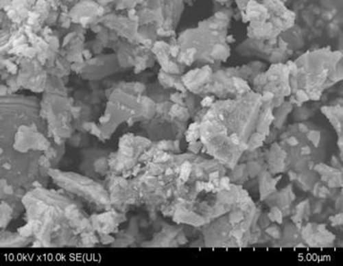 Irregular Zirconium Powder SEM