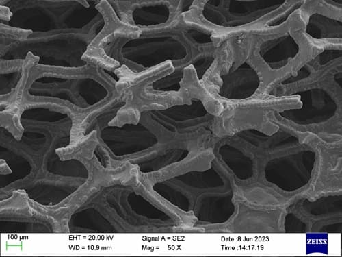 Tantalum (Ta) Foam_SEM