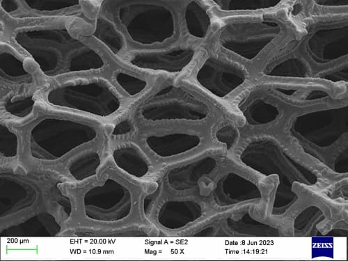 Tantalum (Ta) Foam_SEM