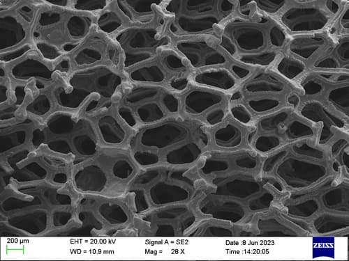 Tantalum (Ta) Foam_SEM