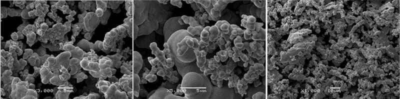 Rhenium (Re) Powder SEM