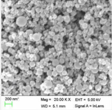 Silicon (Si) Nanopowder SEM