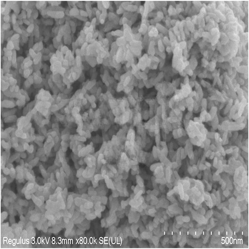 Titanium Oxide SEM