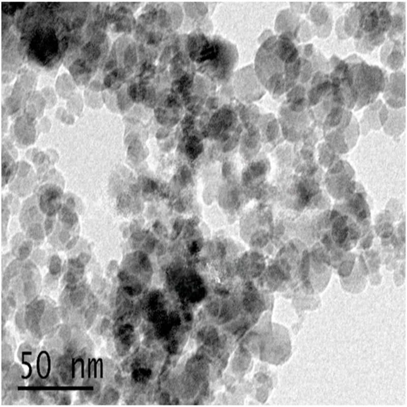 Vapor Phase Alumina SEM