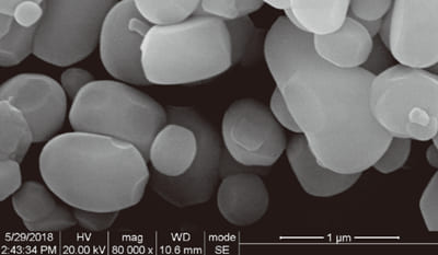 Near-spherical Alumina (Al2O3) Powder SEM