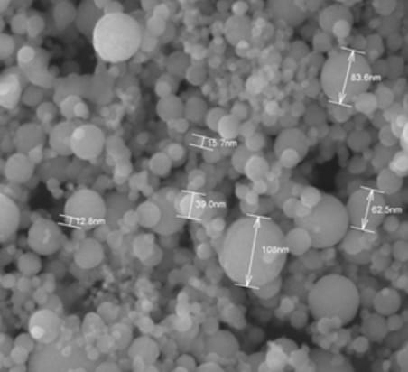 Nanoparticle Spherical Alumina (Al2O3) Powder SEM