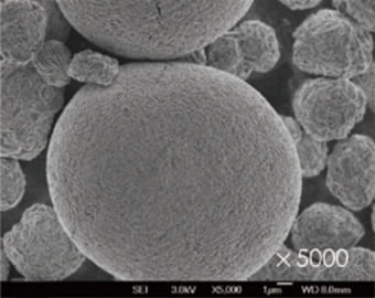 Nickel Cobalt Manganese Hydroxide_SEM_5000