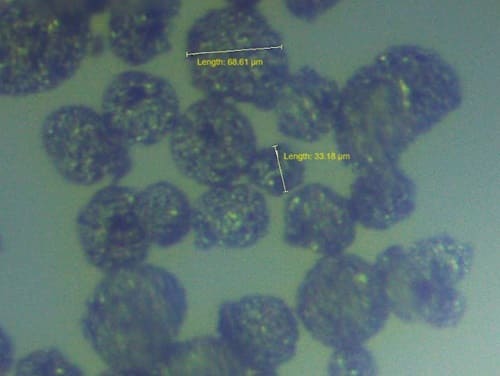 Spherical Molybdenum Disilicide (MoSi2) Powder Microscopic Image