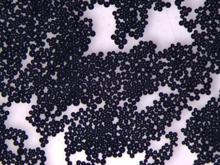 WTaZrHf Allloy Spherical Powder Optical Microscope Photograph