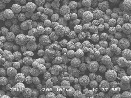 Tungsten Carbide/Chromium/Nickel Powder, (WC-20Cr-7Ni) Powder SEM